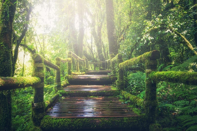 Adventure trails